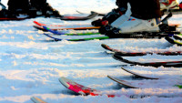 lyže new ski
